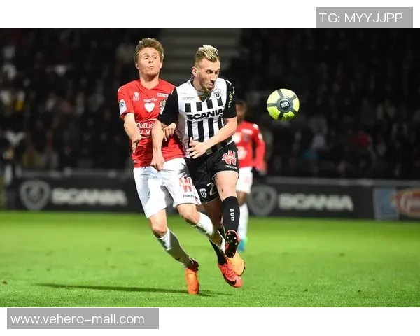 法乙积分榜：图卢兹暂列榜首，尼奥尔暂时垫底待反扑