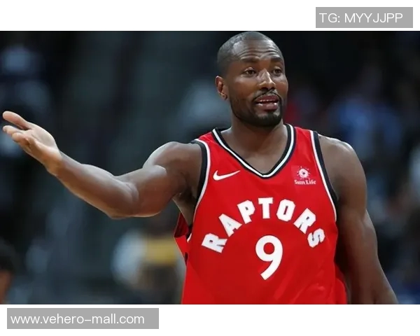 公牛签下自由球员伊巴卡，增强内线实力