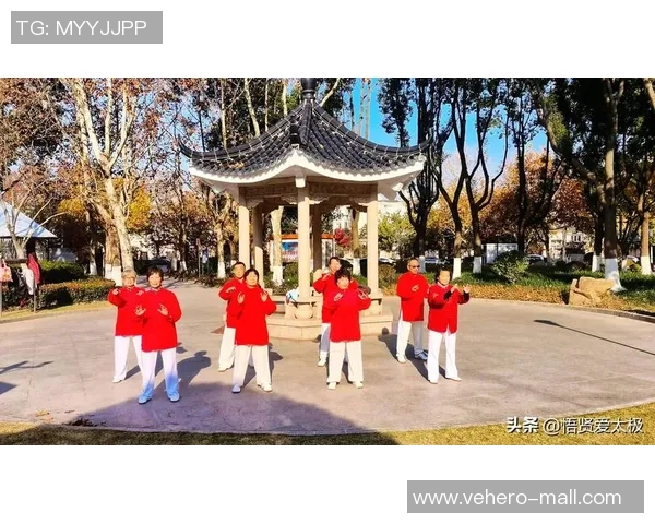 全面掌握24式杨氏太极拳的分解教学视频课程助你轻松入门与提升 全面掌握24式杨氏太极拳的分解教学视频课程助你轻松入门与提升